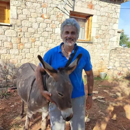 Stella דירה