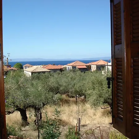 Stella * カルダミリ